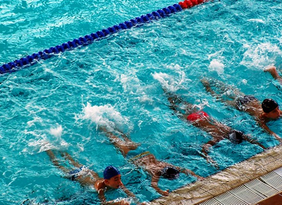 Minis stages de natation à la Toussaint