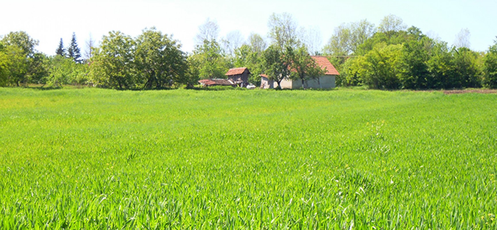 Venez parler foncier agricole le 31/03 à Vallière -Après-midi réservé aux élus-