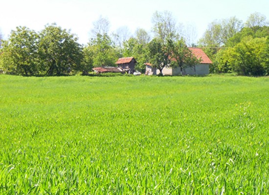 Venez parler foncier agricole le 31/03 à Vallière -Après-midi réservé aux élus-