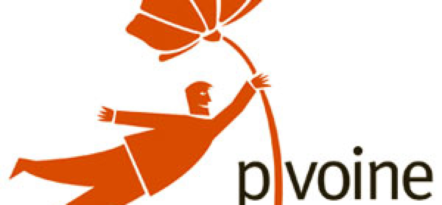 Formation Pivoine | Penser et structurer son action dans la complexité