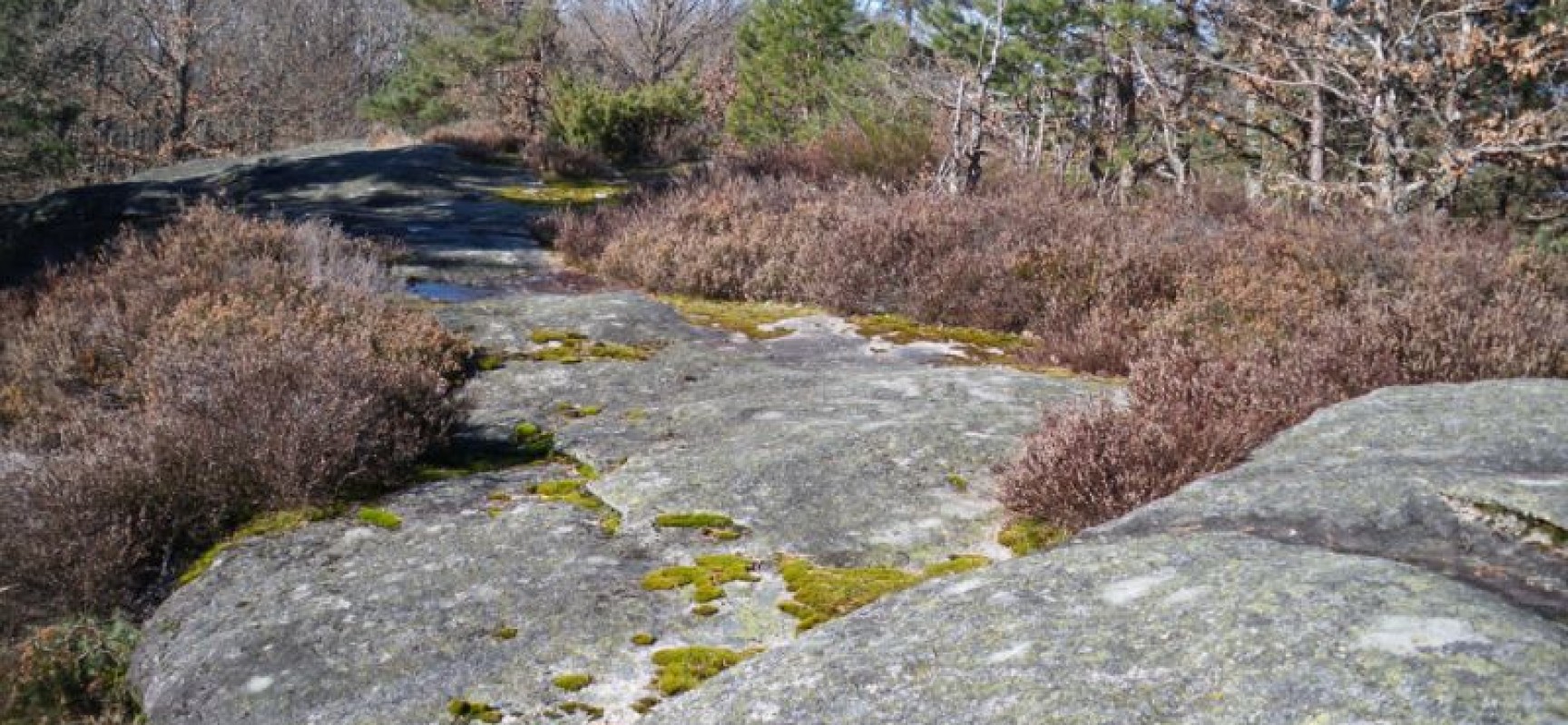 Sortie nature : Rochers de Clamouzat