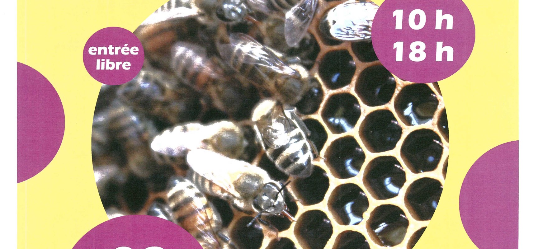 Salon du Miel #Aubusson