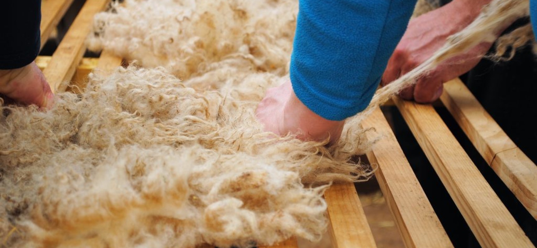 FORMATION – Préparation, transformation et commercialisation de la laine #Lainamac