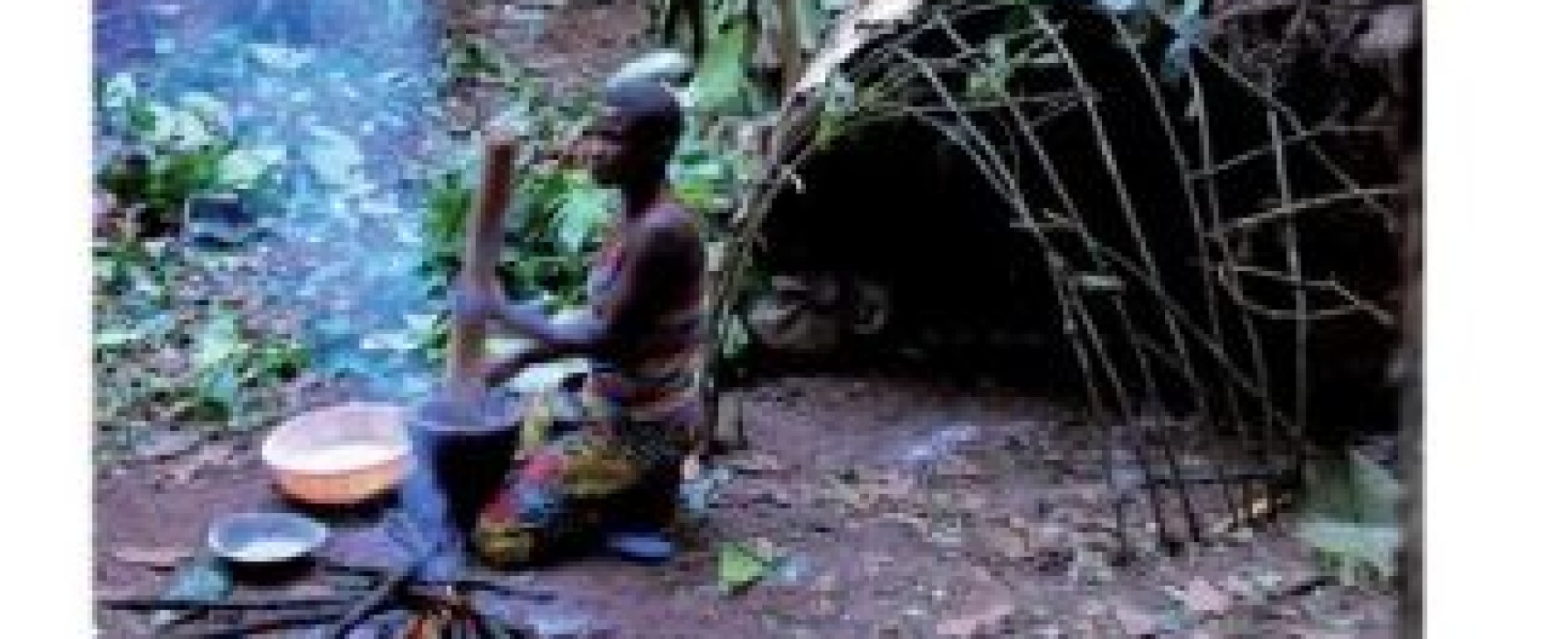 [Médiathèque] Projection-conférence « Congo : à la rencontre des pygmées Babinga – Vie ou survie ? » – mercredi 18 mai 2022