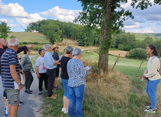Le PLUi par le paysage : les habitants au cœur de la démarche !
