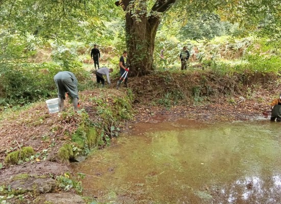 [GeMAPI] Restauration d&rsquo;une pêcherie