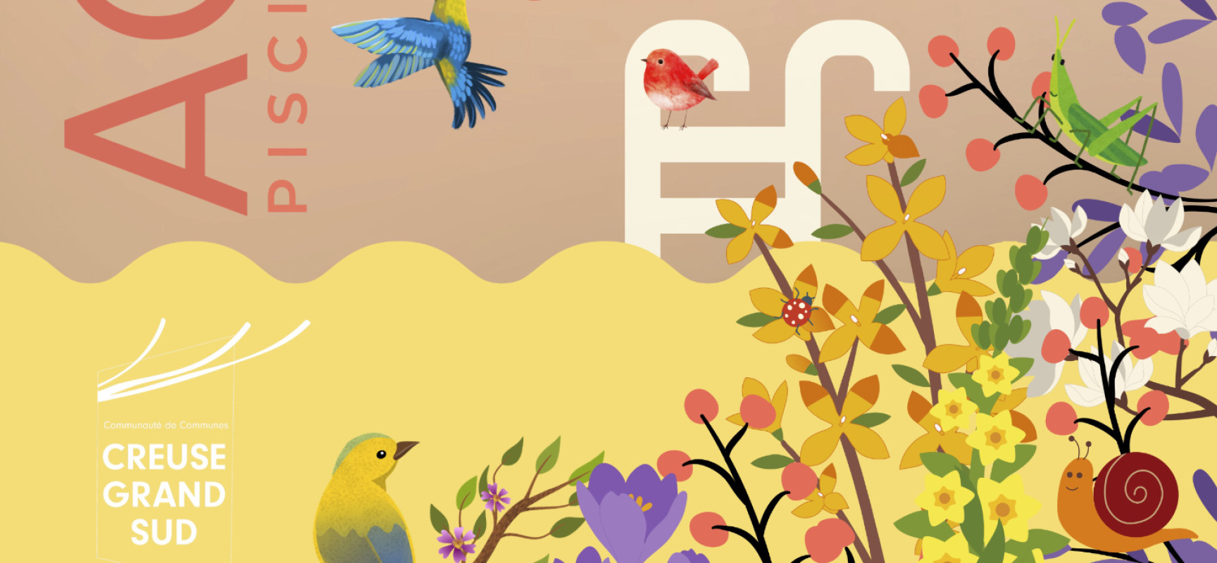 [Piscine AQUASUD] Horaires et activités pendant les vacances de Printemps