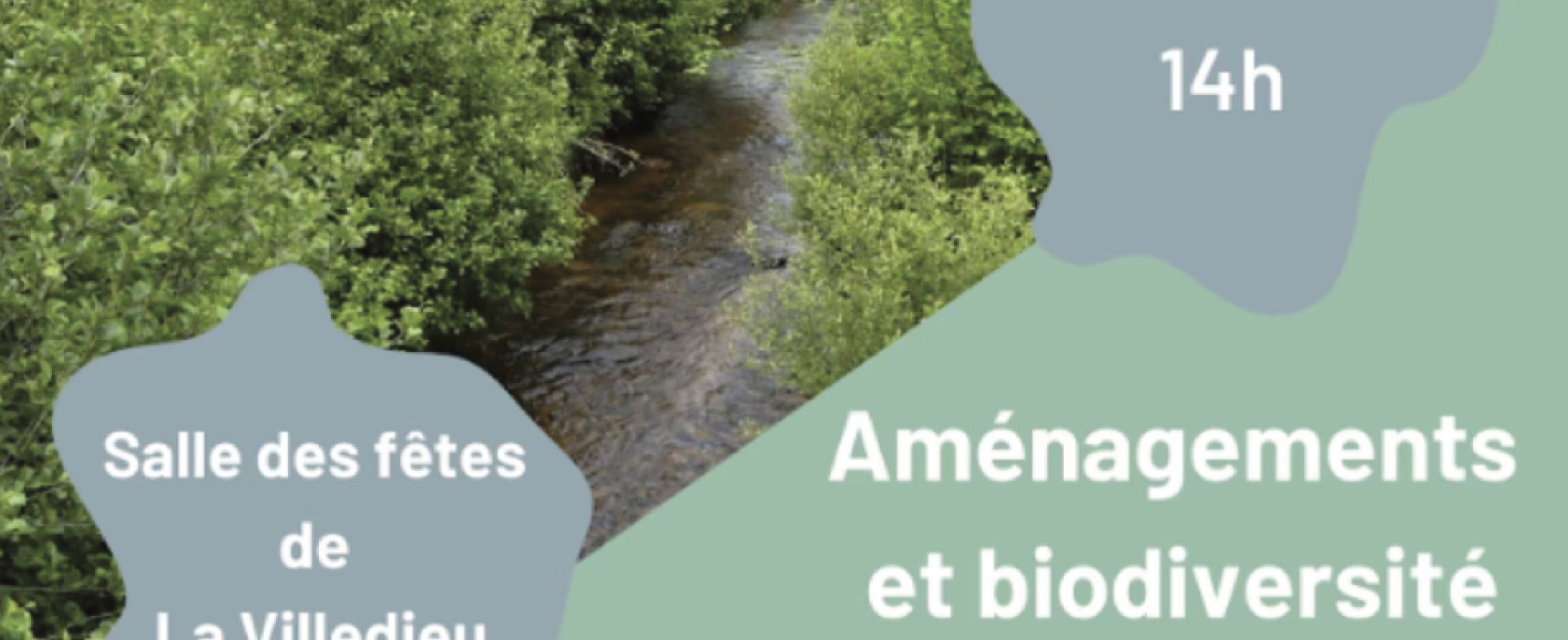 [GeMAPI] Des pratiques sylvicoles respectueuses des milieux aquatiques